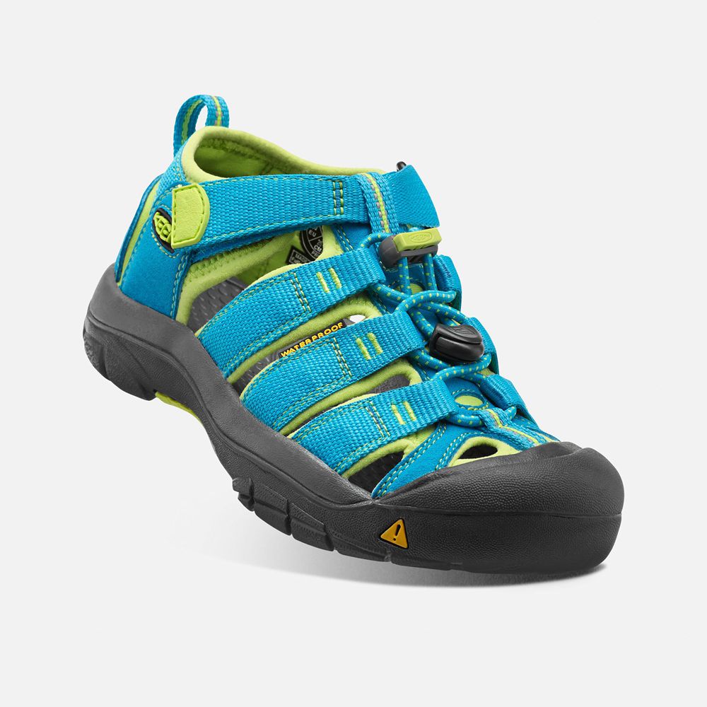 Sandales Keen Enfant Bleu/Vert | Newport H2 | ZFLGM-2365